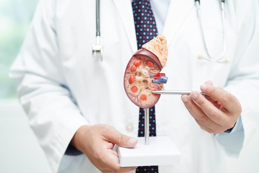 Best Urology Treatment in Ghaziabad